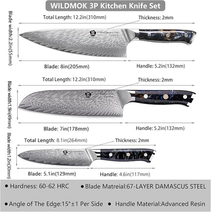 WILDMOK Damascus Kitchen Knife Sets 3 PCS, Japanese Kitchen Knife Set Damascus Steel Core, Ultra-Sharp Professional Chef Knife Set and Full Handle, Gift Box