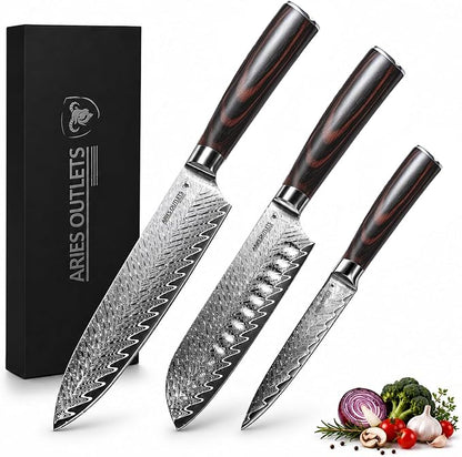 VG10 Damascus Kitchen Knife Set 3PCS, Japanese Chef Knife Set, 67-Layer Forged High Carbon Steel Cooking Knives with Pakkawood Handle Gift Box