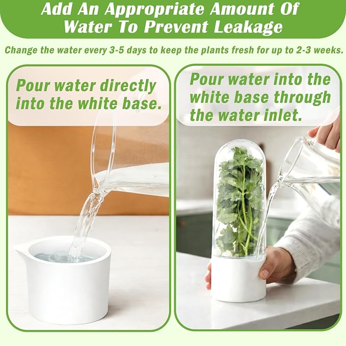 Herb Saver for Refrigerator, 3Pack Herb Keeper & Cilantro Container for Fridge, Fresh Herbs Lettuce Keeper Preservation Storage Container for Cilantro, Parsley, Asparagus, Extends 2-3 Weeks
