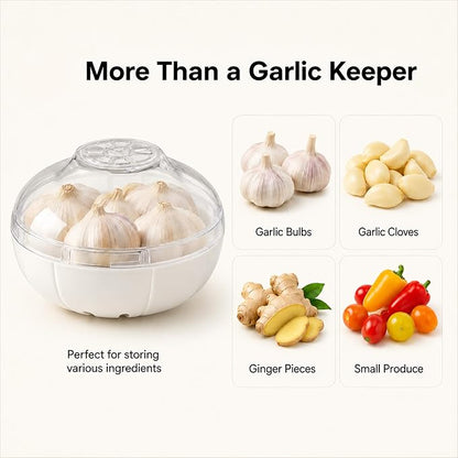 Garlic Keeper Garlic Saver Garlic Storage Containers Reusable Garlic Holder Organizer