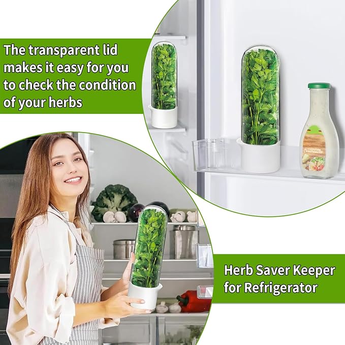 Cilantro Container for Fridge, Herb Keeper Herb Saver for Refrigerator | Vegetable Preservation Storage Container for Cilantro, Basil, Asparagus | Extends Freshness Up to 2-3 Weeks