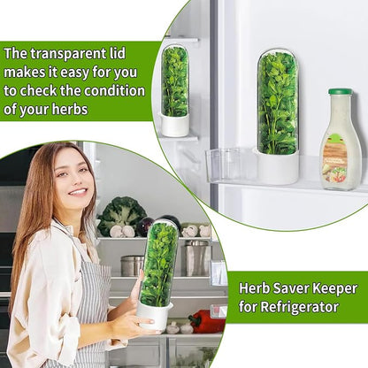 Cilantro Container for Fridge, Herb Keeper Herb Saver for Refrigerator | Vegetable Preservation Storage Container for Cilantro, Basil, Asparagus | Extends Freshness Up to 2-3 Weeks