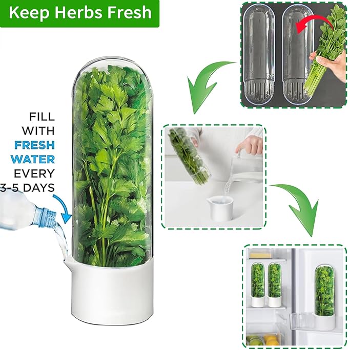 Cilantro Container for Fridge, Herb Keeper Herb Saver for Refrigerator | Vegetable Preservation Storage Container for Cilantro, Basil, Asparagus | Extends Freshness Up to 2-3 Weeks