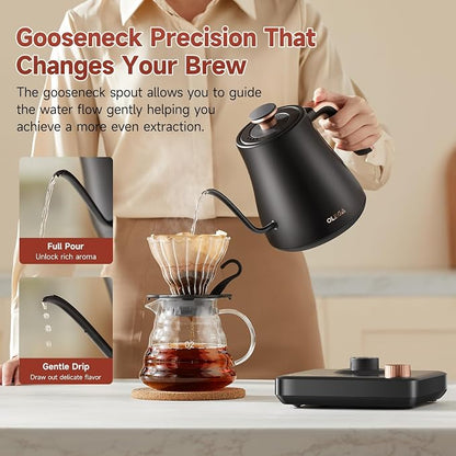 OLEGA Gooseneck Electric Kettle: 1000W Electric Kettles with Temperature Control 0.8L Stainless Steel Electric Tea Kettle Gooseneck Kettle for Coffee Tea Keep Warm (Black)