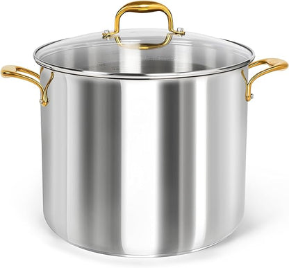 MICHELANGELO Stainless Steel Stock Pot - 20 Quart Soup Pot with Lid & Ergonomic Handle, Extra-Large Pots for Cooking, Suitable for All Stoves