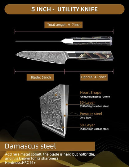 Kitchen Utility Knife 5 Inch, Professional Kitchen Chef Knife, Ultra Sharp Damascus Powder Steel with Full-tang Resin Handle, Bi Series