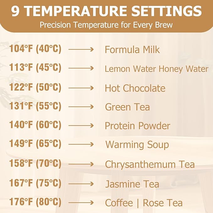 Travel Electric Kettle 800mL Portable Kettle with Automatic Shut Off & 9 Temperature Control for Hot Water/Tea/Coffee/Milk, 304 Stainless Steel Water Boiler