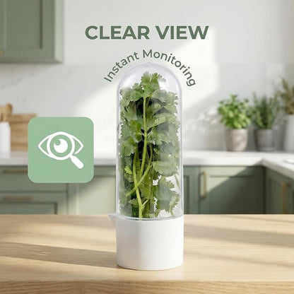 Herb Saver for Refrigerator, 3Pack Herb Keeper & Cilantro Container for Fridge, Fresh Herbs Lettuce Keeper Preservation Storage Container for Cilantro, Parsley, Asparagus, Extends 2-3 Weeks