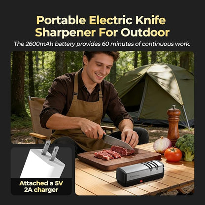 Narcissus Knife Sharpener, Protable Diamond Electric Knife Sharpener for Stainless Steel and Ceramic Knives, with Scissors Sharpener & Metal Dust Collection Box, Quick Sharpening & Polishing, Silver