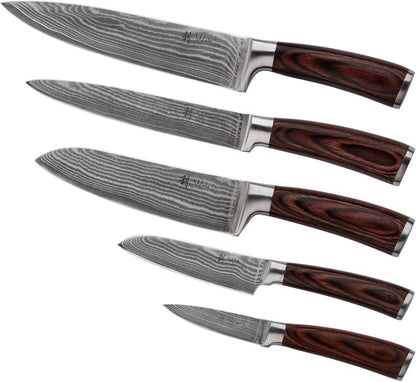 Wakoli EDIB 5-Piece Damascus Knife Set, Professional Kitchen Knives made of 67-Layer Damascus Steel with VG10 Core Blades, Ergonomic Pakkawood Handles, In Wooden Gift Box