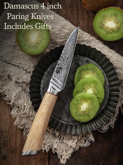 DONGSUN 4 Inch Damascus Paring Knife with North American Black Walnut Sheath, 67-Layer VG10 Forged Steel Japanese Fruit Knife, Professional Durable Sharpness
