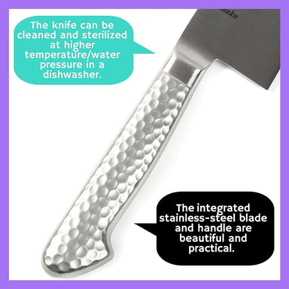 Japanese Chef Knife INOX AUS-8A Stainless Steel Integrated Handle, Gyuto 8.3-inch (210mm)