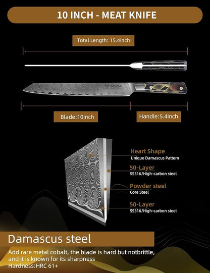 Meat Carving Knife 10 Inch, Professional Kitchen Slicing Knife, Ultra Sharp Damascus Powder Steel with Full-tang Resin Handle, Bi Series
