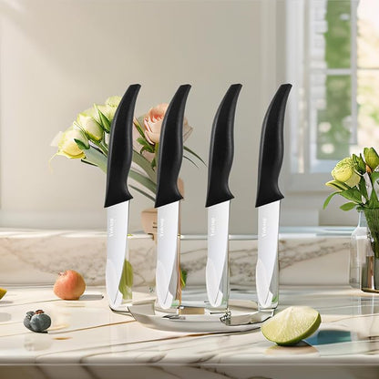 4-Piece Paring Knife Set, 4 Inch 4Cr14 Stainless Steel Sharp Fruit Vegetable Peeling Knives with Ergonomic Anti-Slip Large Handle, Small Kitchen Utility Knife for Daily Meal Prep, Black