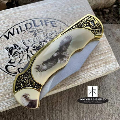 Monogram Knife, Custom Knives, Collector Knife, Personalized Knife, Engraved Knives, Wild Life Collection Knife w/Wooden Collection Box (Eagle)