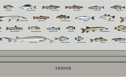 Tervis Traveler Fishing Here Fishy Fishy Triple Insulated Tumbler Travel Cup Keeps Drinks Cold & Hot, 20oz, Stainless Steel