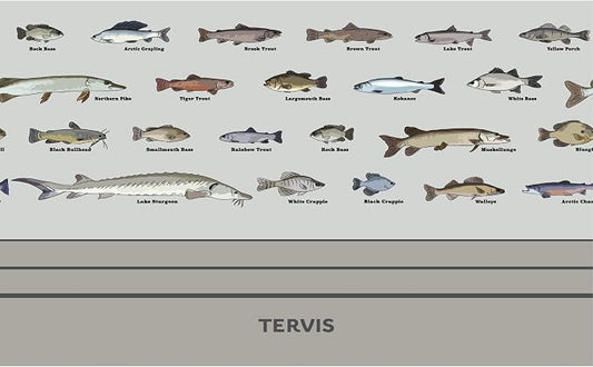 Tervis Traveler Fishing Here Fishy Fishy Triple Insulated Tumbler Travel Cup Keeps Drinks Cold & Hot, 20oz, Stainless Steel
