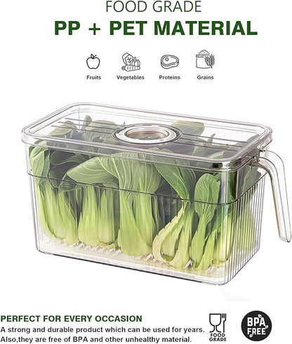 2 Pack Stackable Food Storage Produce Saver Containers for Refrigerator, Berry Keeper Boxes for Fridge with Removable Drain Tray Keep Fresh for Vegetables/Fruit (Clear&Green)