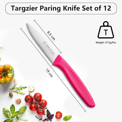 Paring and Garnishing Knife,Fruit Knife Set,12 Pieces Stainless Steel Paring Knives,Straight Edge Small Knife Set for Cutting Fruits and Vegetable,Spear Point,Ergonomic Handle,Multicolor
