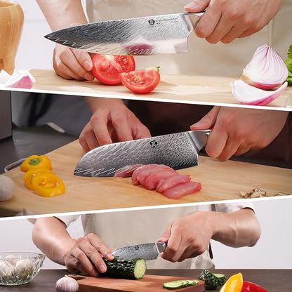 WILDMOK Damascus Kitchen Knife Set, Chef Knife Set, Sharp Damascus Steel Forged Blade Kitchen Knives Set with Ergonomic Resin Handle