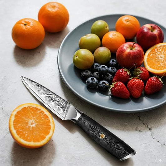 MOSFiATA Damascus Fruit Knife 4", Ultra Sharp Paring Knife, 67 Layers Damascus Steel VG10 Core Multipurpose Small Kitchen Knife Professional Peeling Knives, G10 Handle with Rivet Chef Gift
