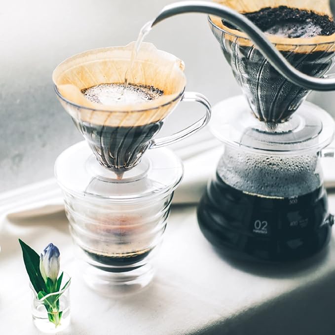 Hario V60 Plastic Coffee Dripper, 02, Clear (Pack of 2)