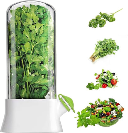 Fresh Herb Keeper for Refrigerator - Space-Saving Cilantro Container for Fridge - Clear Herb Saver for Cilantro, Mint & Asparagus - Herb Savor Bottle - Fresh Herb Storage