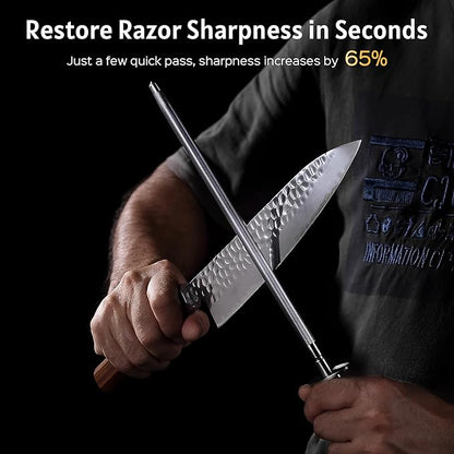 PAUDIN Honing Rod, Knife Sharpener Rod 10 inch, Professional Kitchen Knife Sharpener, High Carbon Knife Sharpening Steel with Ergonomic Pakkawood Handle, Honing Steel for All Chef Knives