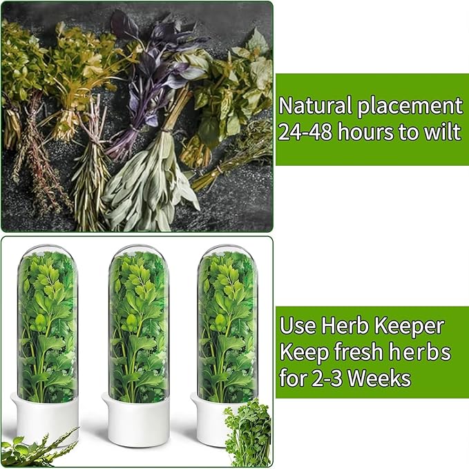 Cilantro Container for Fridge, Herb Keeper Herb Saver for Refrigerator | Vegetable Preservation Storage Container for Cilantro, Basil, Asparagus | Extends Freshness Up to 2-3 Weeks