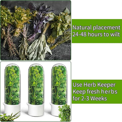 Cilantro Container for Fridge, Herb Keeper Herb Saver for Refrigerator | Vegetable Preservation Storage Container for Cilantro, Basil, Asparagus | Extends Freshness Up to 2-3 Weeks