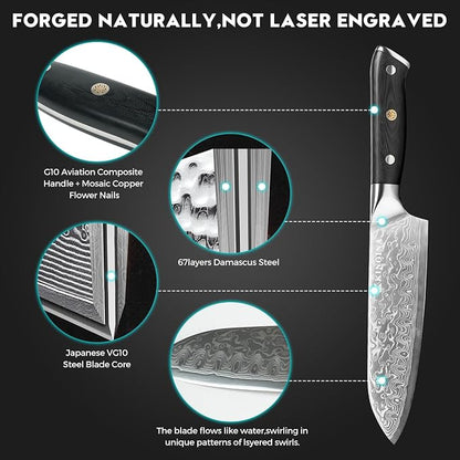 5-Piece Damascus Knife Set - Ultra-Sharp Professional 67-Layer VG10 Core Damascus Chef Knife Set | Includes 8 Inch Chef Knife, Santoku Knife, Kitchen Knife Sharpener, G10 Full Tang Handle