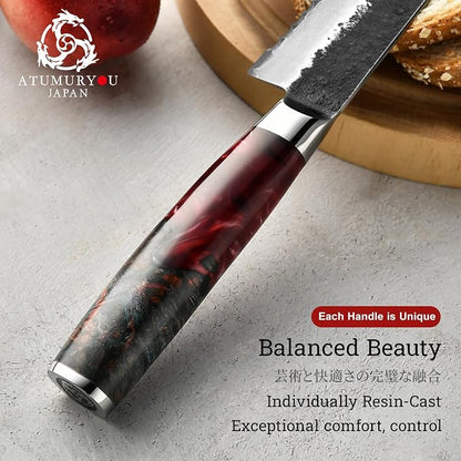 Japanese Bread Knife, 9 Inch Hand Forged VG10 Steel Serrated Sourdough Knife, Resharpenable Sharp Bread Cutting Knives, Low-Crumb Slicing for Sourdough, Homemade Bread & Bagels with Premium Gift Box
