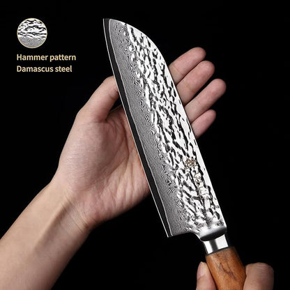 Wakoli 4-Piece Damascus Knife Block Set, VG10 Core 67-Layer Damascus Steel Kitchen Knives with Magnetic Acacia Wood Block, Ergonomic Zebrawood Handles, Hand Wash Only
