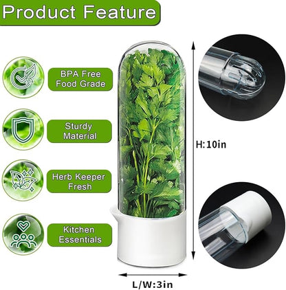 Cilantro Container for Fridge, Herb Keeper Herb Saver for Refrigerator | Vegetable Preservation Storage Container for Cilantro, Basil, Asparagus | Extends Freshness Up to 2-3 Weeks