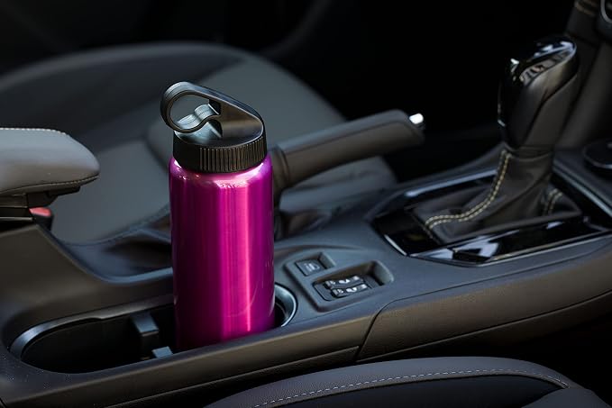 Silver Buffalo Double Walled Vacuum Insulated Stainless Steel Water Bottle, 20 Ounces, Magenta