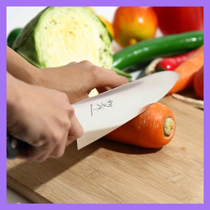 Japanese Chef Knife INOX AUS-8A Stainless Steel Black Pakkawood Handle, Gyuto 9.5-inch (240mm)
