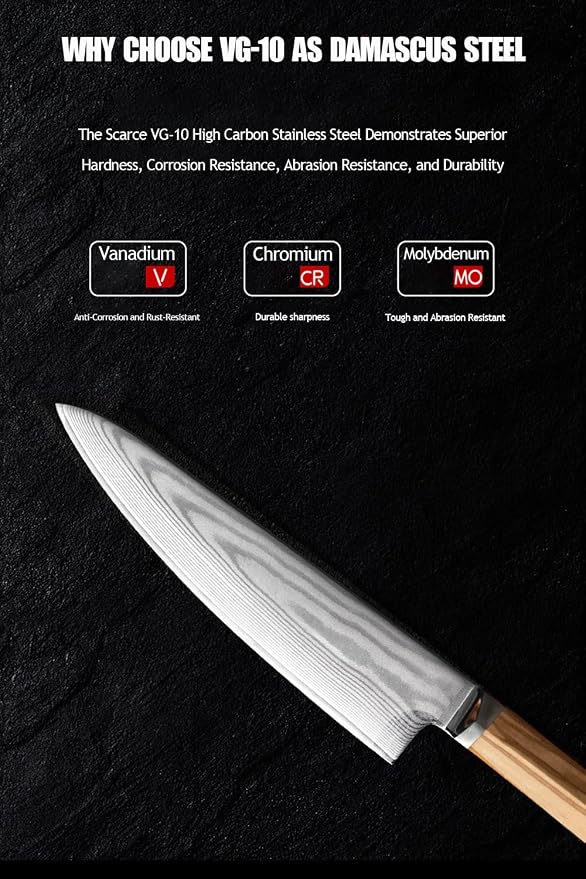 Damascus Japanese Chef Knife 8 Inch, Gyuto Knife 67 Layers VG-10 Damascus Knife, Full Tang Knife Italian Olive Wood Handle Japanese Knife