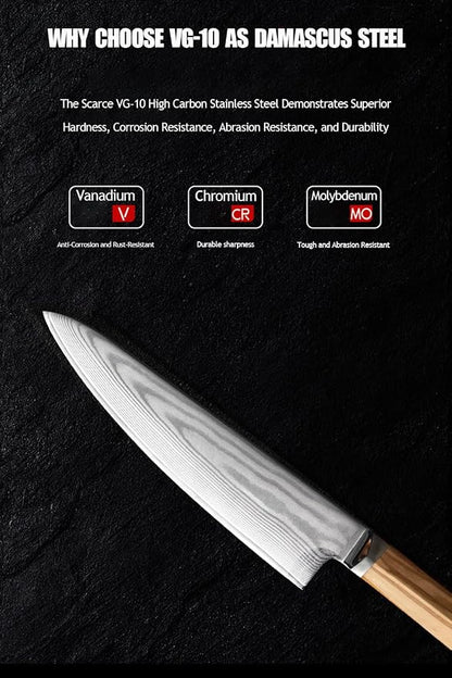 Damascus Japanese Chef Knife 8 Inch, Gyuto Knife 67 Layers VG-10 Damascus Knife, Full Tang Knife Italian Olive Wood Handle Japanese Knife