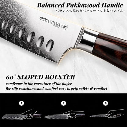 6 Piece Japanese Damascus Knife Set, Professional Chef Knife Set with VG10 Steel Core, Ultra Sharp 67-Layer Kitchen Knives, Pakkawood Handle Gift Box