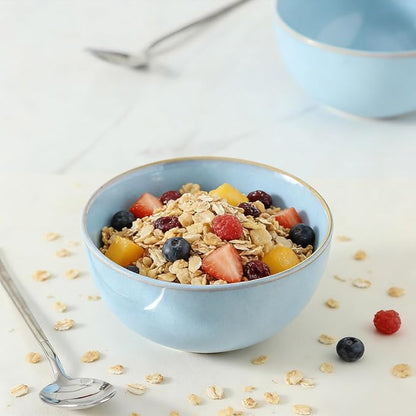 Cereal Bowls, 24 oz Ceramic Bowls Set of 4, Stoneware Bowl Set for Salad, Kitchen, Soup, Dessert, Ramen, Dishwasher and Microwave Safe, Skyblue