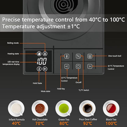 Gooseneck Electric Kettle with ±1℉ Temperature Control & Keep Warm for Pour Over Coffee & Tea, Rapid Boil, 304 Stainless Steel, Built-in Brew Timer, 900W 0.6L (600 ML)