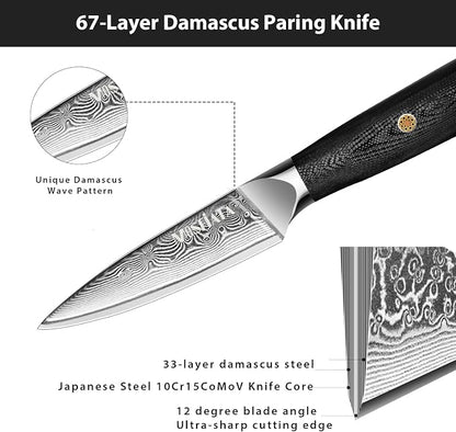 MOSFiATA Damascus Fruit Knife 4", Ultra Sharp Paring Knife, 67 Layers Damascus Steel VG10 Core Multipurpose Small Kitchen Knife Professional Peeling Knives, G10 Handle with Rivet Chef Gift