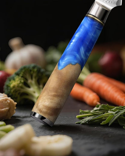 Damascus Boning Knife 6 Inch,VG10 Core Steel with 66-Layers High Carbon,Professional Boning Knives for Meat Poultry Chicken,Blue Resin & Wood Handle,Ideal Gift for Chefs and Cooking Lovers