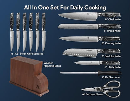 Knife Set for Kitchen 14 Pieces with Magnetic Block, German Razor Sharp High Carbon Stainless Steel Damascus Pattern, Full Tang Ergonomic Handle, Black Flowing Cloud Design