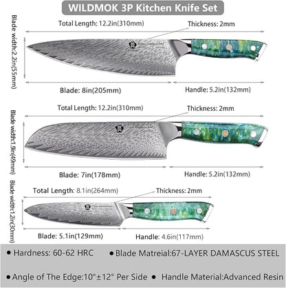 WILDMOK Professional Kitchen Knife Sets 3 PCS,Damascus Steel Chef Knife Set, 3PCS Ultra Sharp Japanese Kitchen Knives, Ergonomic Resin Handle Elegant Gift Box for Home or Restaurant