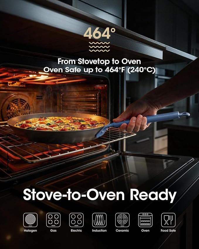 Carbon Steel Frying Pan 10 Inch, Nitrided Carbon Steel Skillet, Preseasoned Rust Resistant Cooking Pan, Induction & Oven Safe Professional Cookware