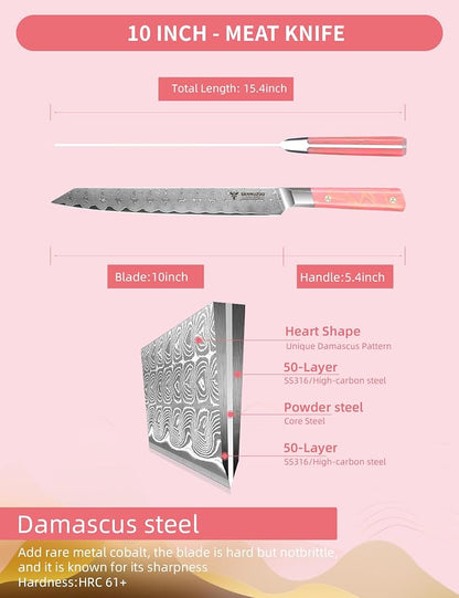 Meat Carving Knife 10 Inch, Professional Kitchen Slicing Knife, Ultra Sharp Damascus Powder Steel with Full-tang Resin Handle, SHENG Series