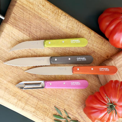 OPINEL Les Essentials - Small Kitchen 4 Piece Knife Set - Paring, Serrated, Peeler, Vegetable Knife, Corrosion Resistant High Carbon Steel, Made in France (50s)