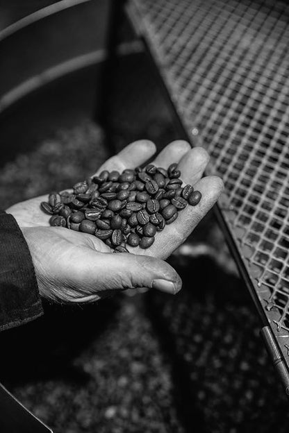 Bristot L‘americano Filter Coffee | Dark Roast Ground Coffee | 100% Arabica | Filter | 16 Bags