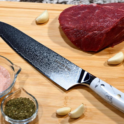 Damascus Chef Knife 8 Inch, 67-Layer VG-10 Japanese Steel Kitchen Knife, Razor Sharp Professional Chef Knife with White Turquoise Resin Handle & Premium Gift Box